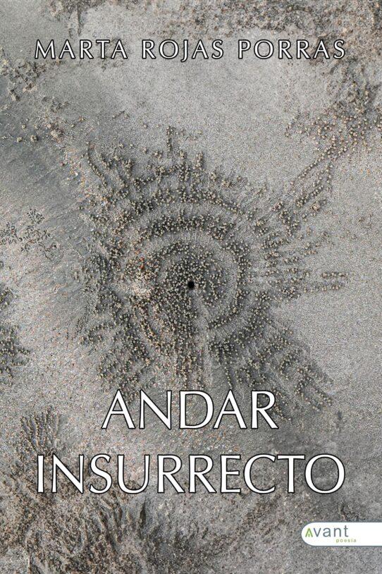 Andar insurrecto - edición de la obra en Ebook