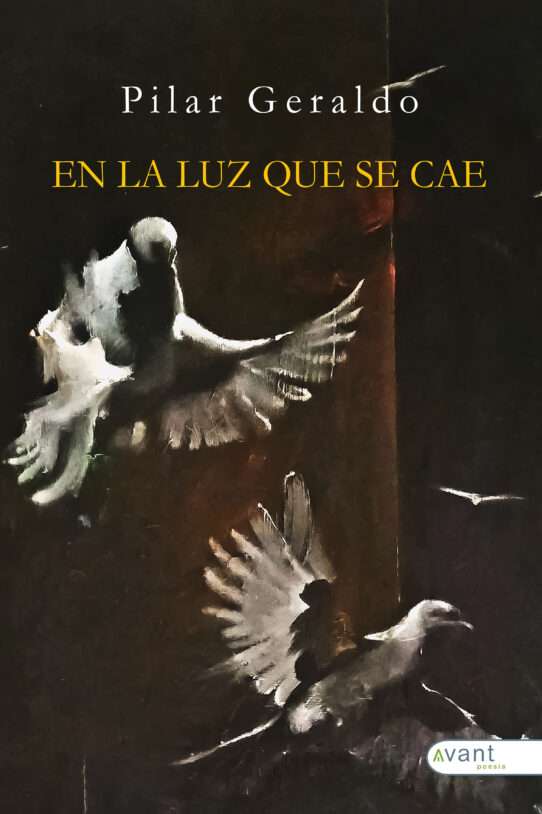 En la luz que se cae - edición de la obra en papel